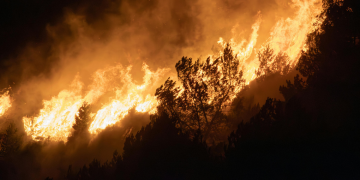 A resposta a situações de catástrofe, em contextos climáticos extremos, fez-se com contributos do INESC TEC