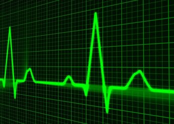 Investigação INESC TEC alerta para necessidade de melhorar sincronização de dados fisiológicos provenientes de diferentes dispositivos